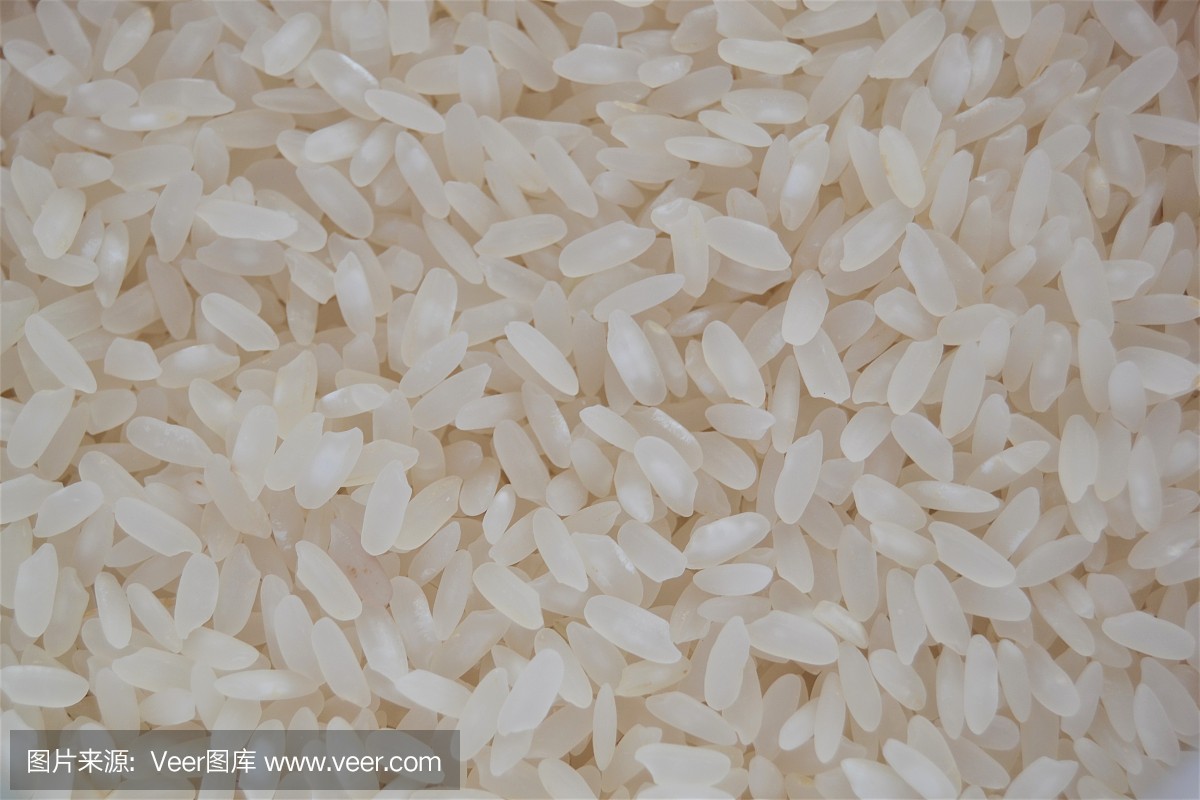 大米产品样本